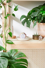 Load image into Gallery viewer, Organic Bath Bomb with Crystal Inside / Crystal Bath Bomb / Organic